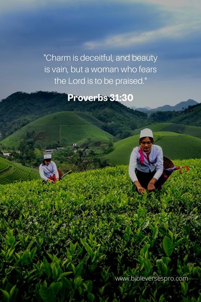 Proverbs 31_30