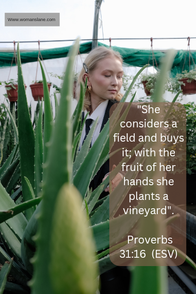 Proverbs 31:16 16