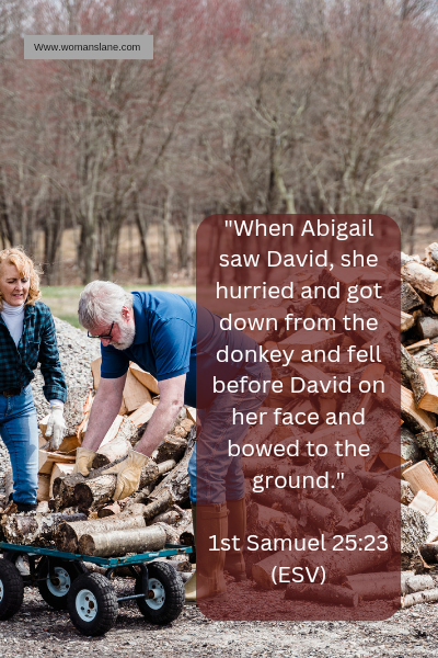 1st Samuel 25:23